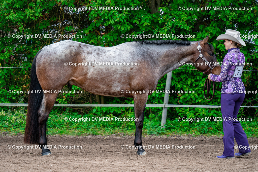 BA300199 | dv-media-shop - Realisiert mit Pictrs.com