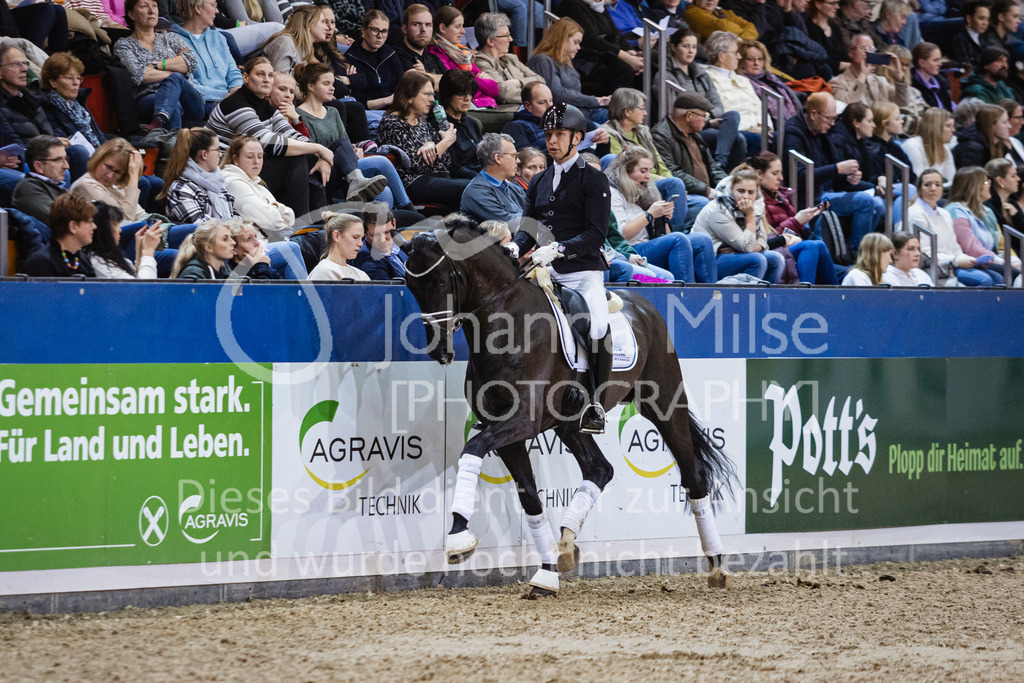 250108_Muenster_Hengstpräsentation-139 | Deine schönsten Turniermomente als professionelle Fotos! Entdecke hochwertige Pferdesport-Fotografie im Online-Shop. Jetzt Fotos finden & bestellen!