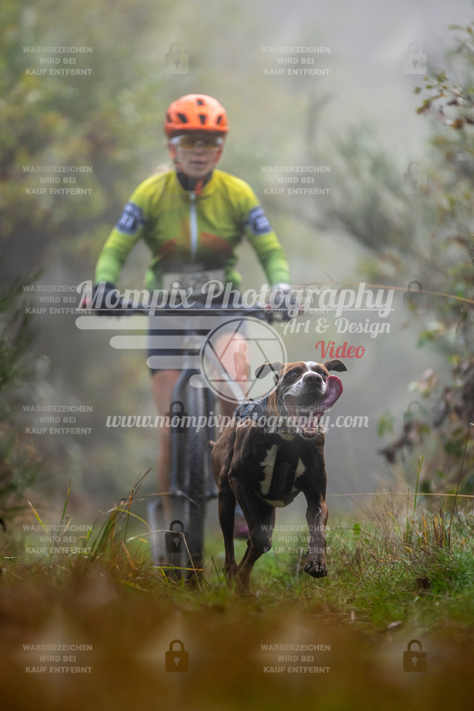 MompixPhotography_20TSB_E4_DS1-51 | PayLife