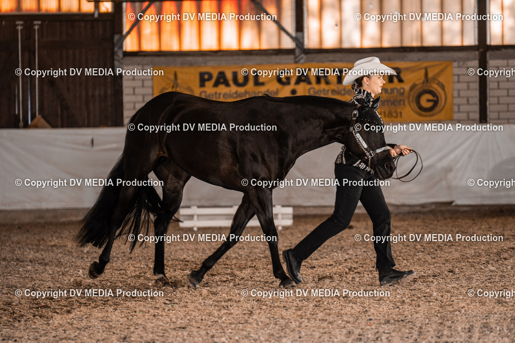 ZH100113 | dv-media-shop - Realisiert mit Pictrs.com