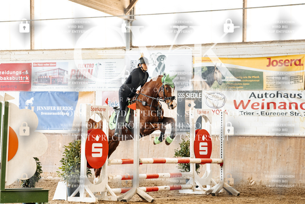 CK905451 | Turnierfotografie Pferdefotografie Trier Rheinland-Pfalz Pferdesport Reitsport Tierfotografie Sportfotografie Pferdevideo Pferdevideografie Equestrianvideography equestrianphotography  - Realisiert mit Pictrs.com