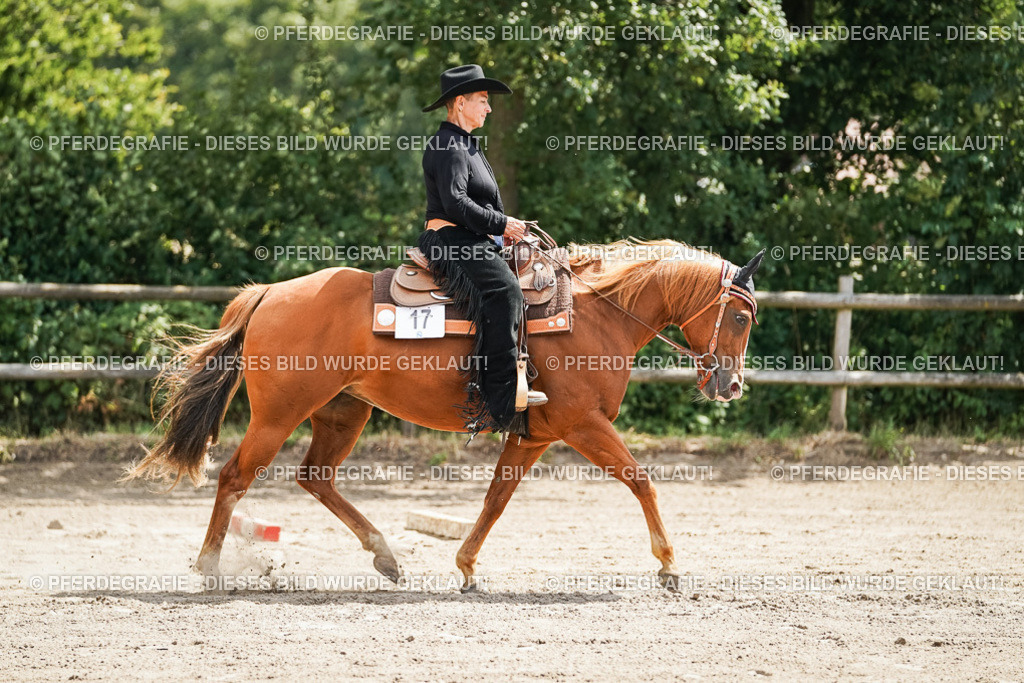 DSC06105 | Pferdegrafie