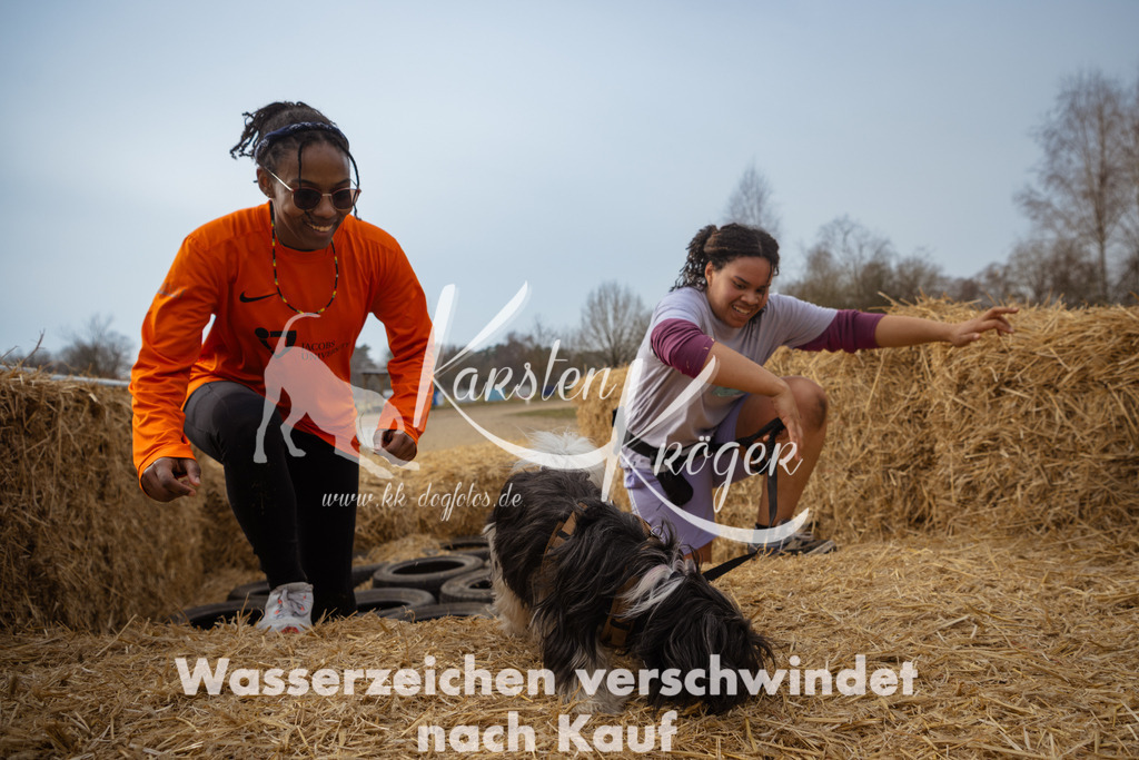 1145_ZZ95503 | kk-dogfotos