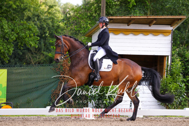 DKP41711 | Turnierfotos kaufen im Webshop von Daniel Kuhl Photography – entdecke professionelle Reitsportfotos aus Turnieren & Events. Hochwertige Turnierbilder online bestellen & sichern. Jetzt Fotos von Reitsportturnieren kaufen!