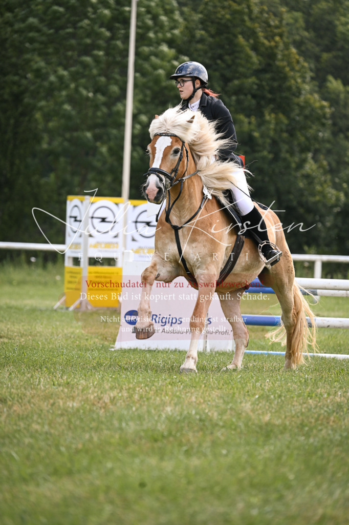 DSC_9053 | Pferde- und Turnierfotografie in Westsachsen. Pferdeportraits, Auftragszeichnungen und intuitive Kunst.