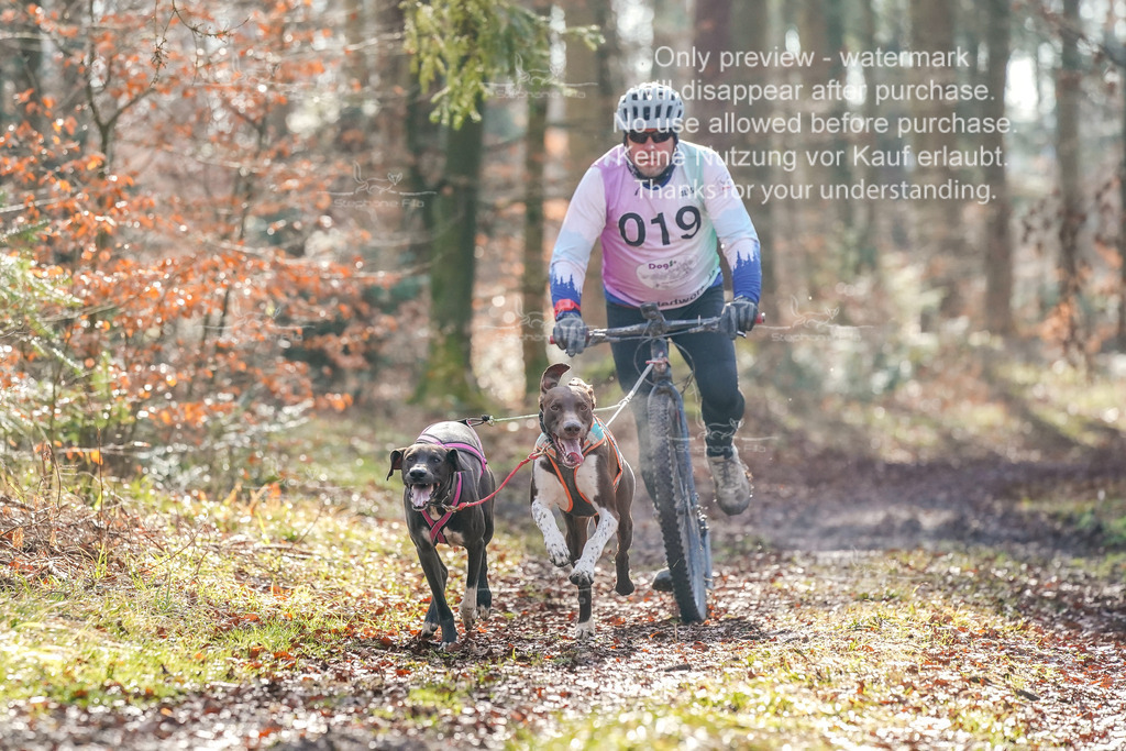 So_Scooter_2-1 | stephaniefillaphotographie - Realisiert mit Pictrs.com