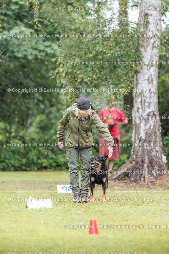 RO-Blumenthal-2026-Nickbest-Hundefotografie-0011 | Dein Hund! Dein Moment! Deine Erinnerungen! Hundefotografie in Bremen Blumenthal. Ich fange die besonderen Momente deines Vierbeiners ein – ob Indoor mit Blitzanlage oder in der freien Natur. Sicher dir dein Moment und dein Termin für eure Erinnerungen.