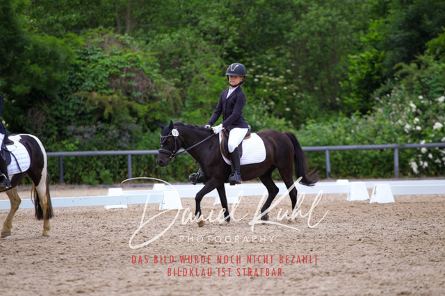 DKP46270 | Turnierfotos kaufen im Webshop von Daniel Kuhl Photography – entdecke professionelle Reitsportfotos aus Turnieren & Events. Hochwertige Turnierbilder online bestellen & sichern. Jetzt Fotos von Reitsportturnieren kaufen!