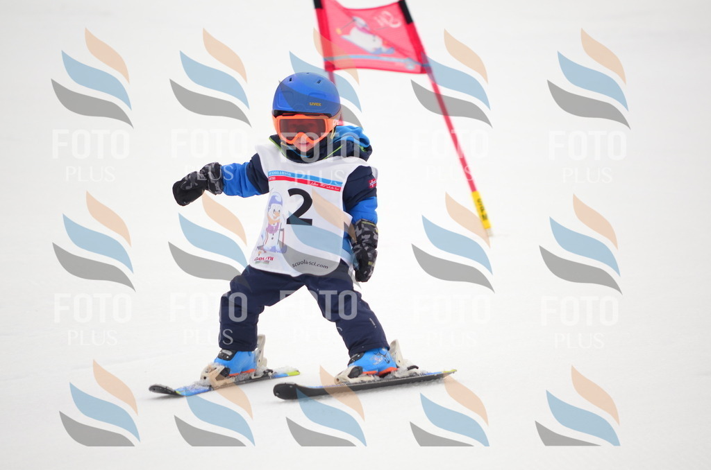 B9018 | holidayphoto