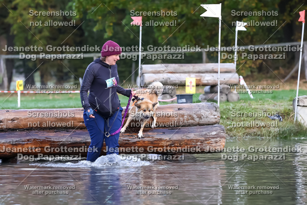 Dog Paparazzi - Strongdog 10-25-6366 | Dog Paparazzi Jeanette Grottendiek Fotografie & Videografie - Realisiert mit Pictrs.com