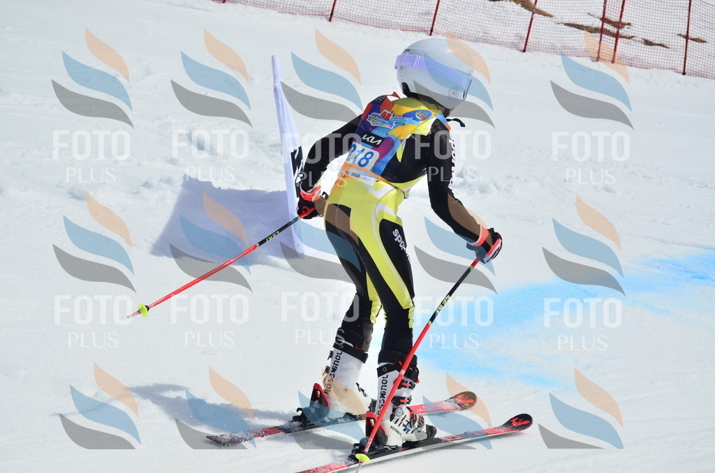 _ELE1530 | holidayphoto