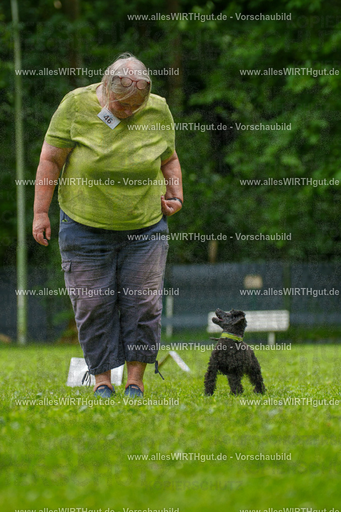 @allesWIRTHgut_Tierfotografie - www.allesWIRTHgut.de - 7R500410 | Professionelle Tierfotografie in Mönchengladbach von Daniel Wirth (allesWIRTHgut). Liebevolle & natürliche Bilder von Hunden & Katzen für unvergessliche Erinnerungen.