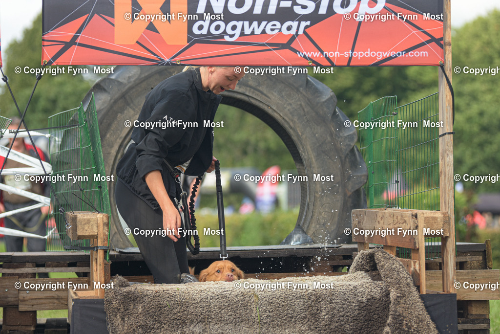 DSC_0130 | Hallo und herzlich Willkommen auf meiner Shop-Seite Fynn Most.

Ich wünsche Dir viel Spaß beim stöbern durch die Bilder, wenn Du Fragen hast oder Bilder vermisst, kannst du mir gerne eine Nachricht schreiben. - Realisiert mit Pictrs.com