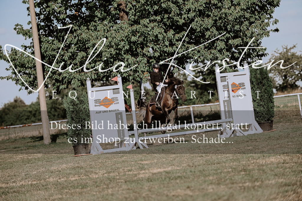 DSC_9455 | Pferde- und Turnierfotografie in Westsachsen. Pferdeportraits, Auftragszeichnungen und intuitive Kunst.