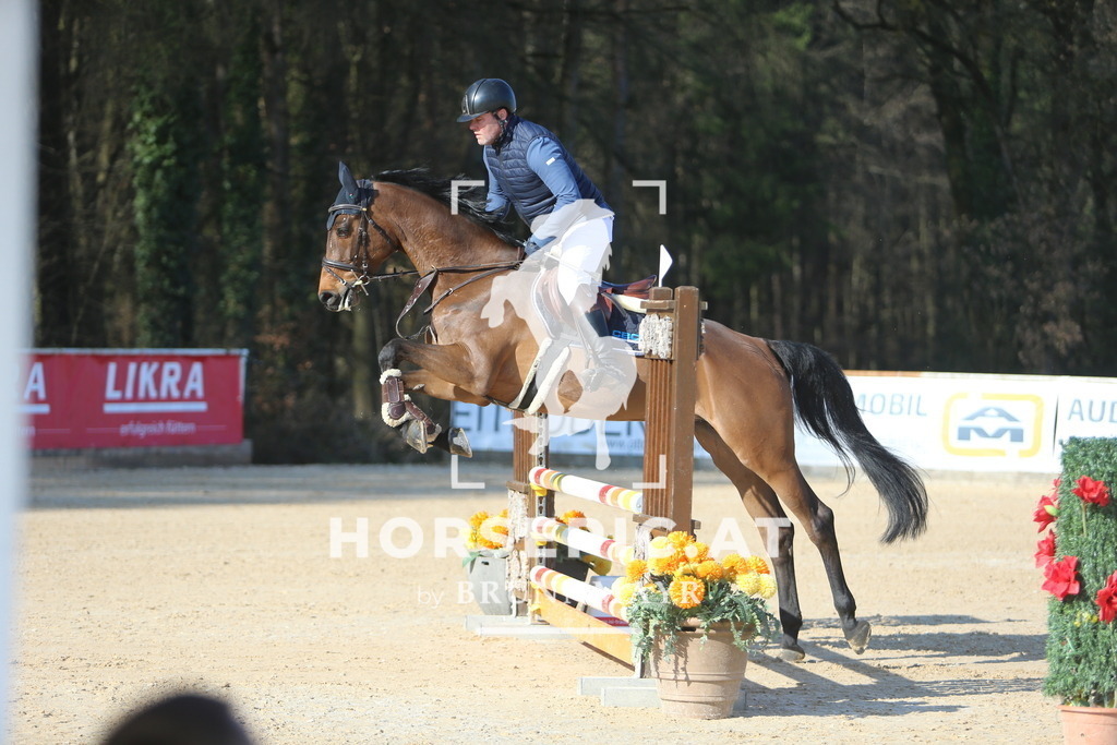 DL2Q7659 | Willkommen bei Brunnmayr - Design & Fotografie – Ihrem Spezialisten für Reitturniere und Pferdeveranstaltungen in Oberösterreich, Salzburg und Bayern! Seit über 17 Jahren sind wir leidenschaftlich dabei.