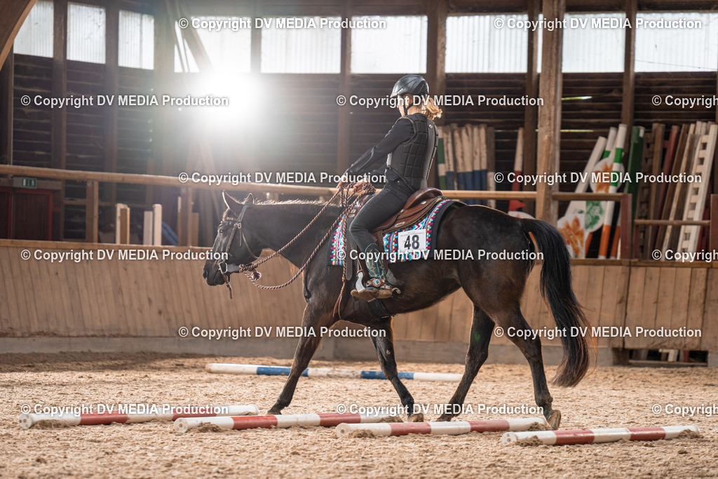 Heidelberg Tag 1-337 | dv-media-shop - Realisiert mit Pictrs.com