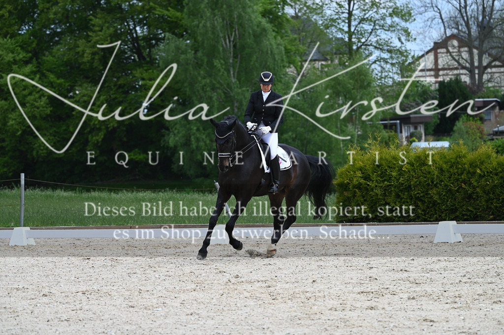 20230512_JK-Röhrsdorf-05-113 | Pferde- und Turnierfotografie in Westsachsen. Pferdeportraits, Auftragszeichnungen und intuitive Kunst.
