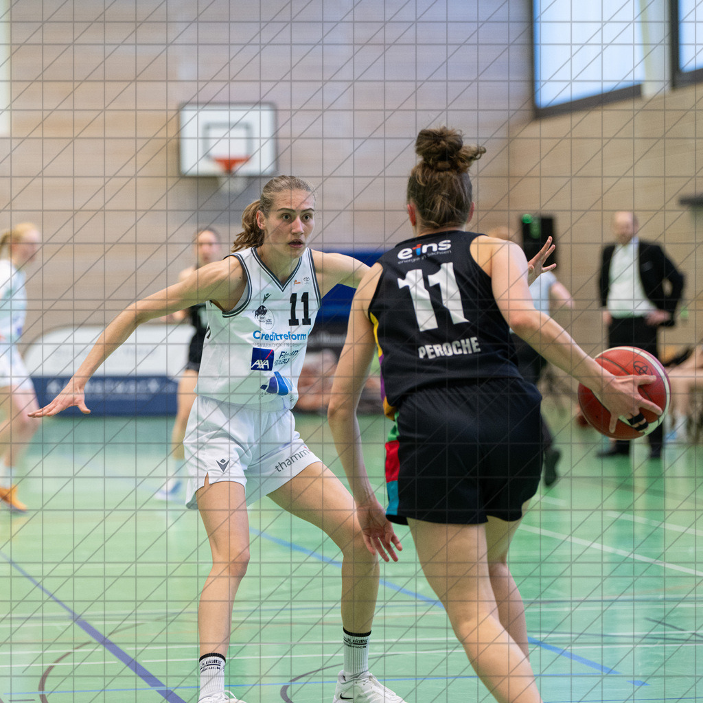 2. DBBL Nord 24/25 | 09.03.2025 | BBC OS vs. ChemCats Chemnitz | 2. DBBL Nord 24/25 | 09.03.2025 | BBC OS vs. ChemCats Chemnitz - - - - - CREDIT, www.bullenfotos.de, Martin König, Hörner Weg 40, D-49078 Osnabrück, +4917663732967, Nutzung und Weitergabe nur zu den vereinbarten Zwecken. Presseanfragen an Urheber. Alle Rechte beim Urheber. - - - - - - Realisiert mit Pictrs.com