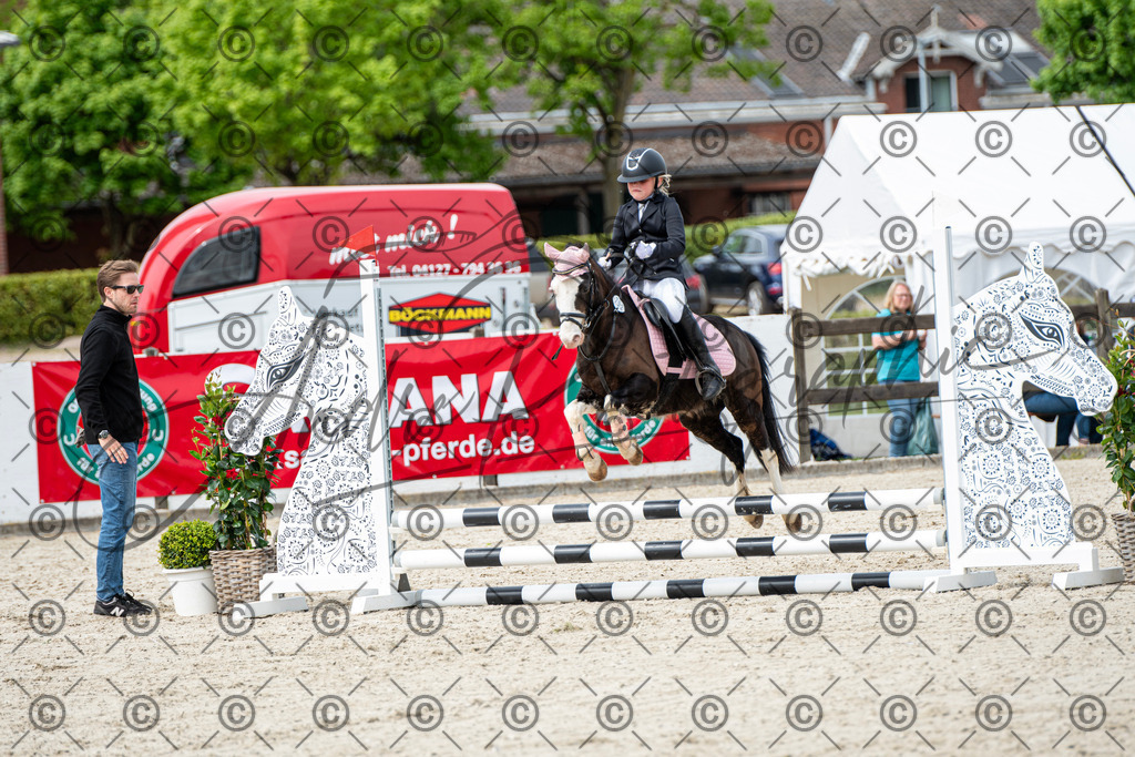 KPT_6105 | andre_photographic