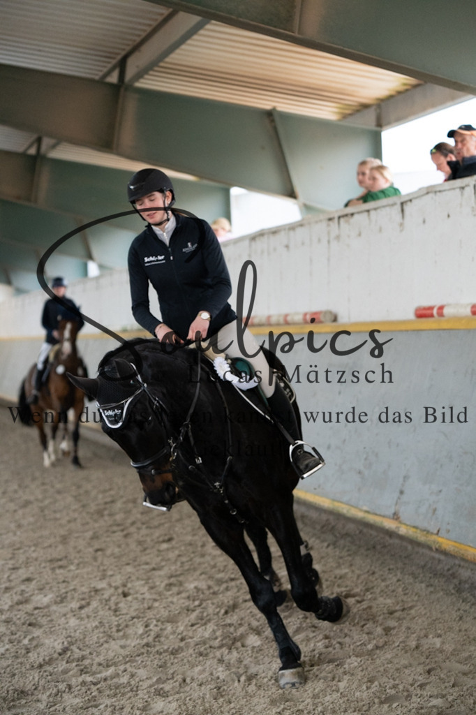 A7V08683 | Pferdefotograf