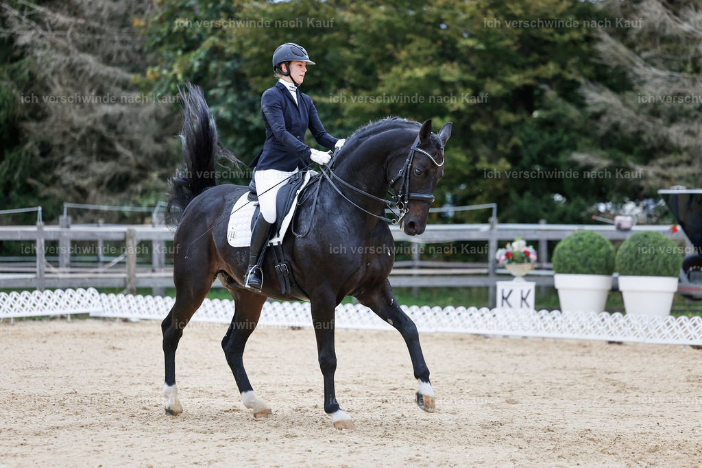 04_1-118-Dressur M__ -StoibPH-StoibPH-2672 | working equitationturnier fotograf videograf stoibphotography marixx film working equitation deutschland reitsport turnierfotografie eventfotografie equestrian events