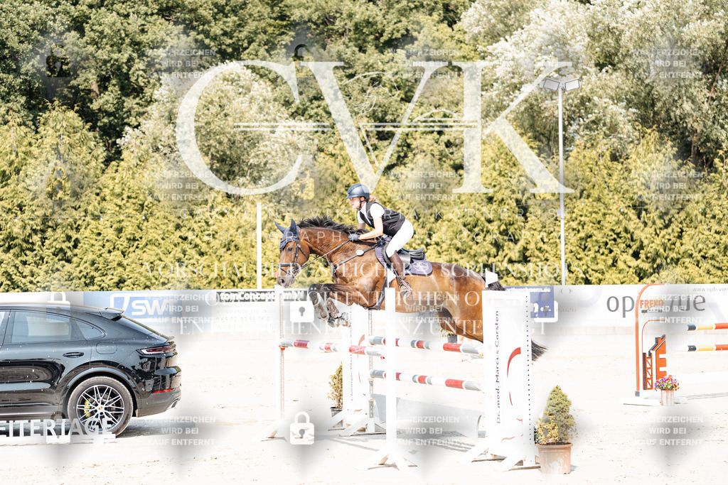 CK901655 | Turnierfotografie Pferdefotografie Trier Rheinland-Pfalz Pferdesport Reitsport Tierfotografie Sportfotografie Pferdevideo Pferdevideografie Equestrianvideography equestrianphotography  - Realisiert mit Pictrs.com