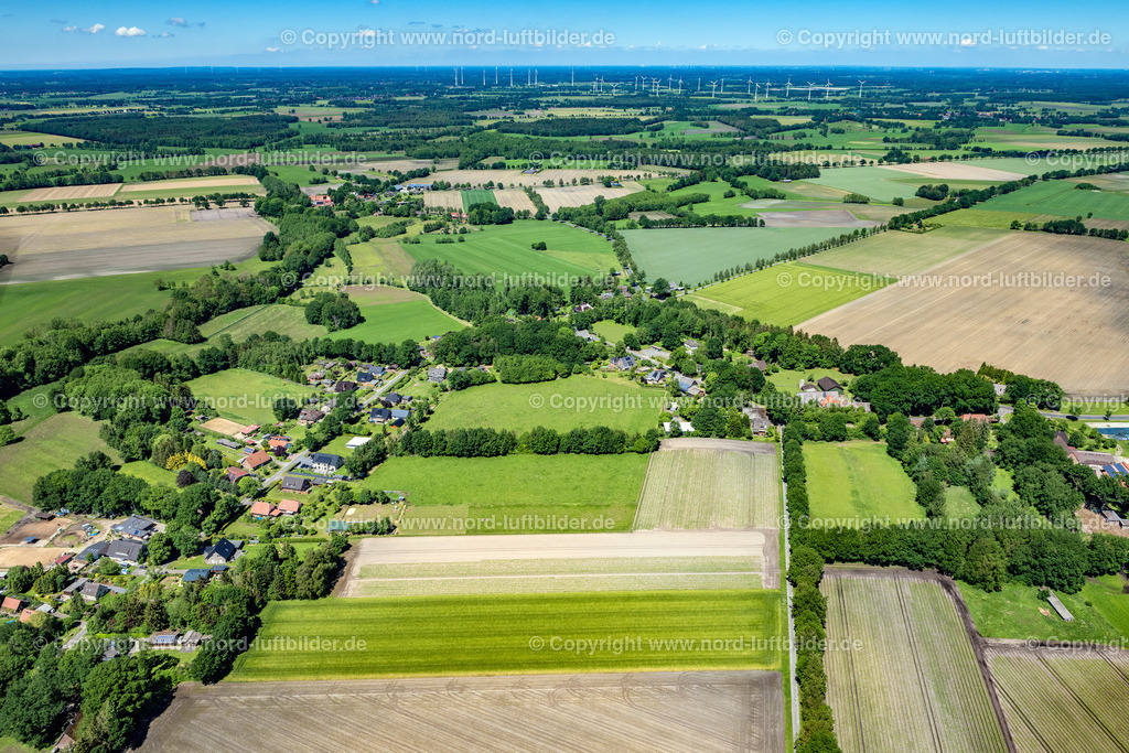 Reith_ELS_6997030622 | REITH 03.06.2022 Baumreihe an einem Feldrand in Reith im Bundesland Niedersachsen, Deutschland. // Row of trees in a field edge in Reith in the state Lower Saxony, Germany. Foto: Martin Elsen