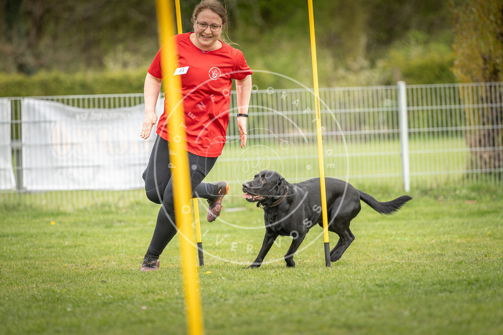 Pfotenfotografie_DV3A9978 | Hundefotografie, Tierfotograf, Pfotenfotografie, Fotoshooting Hund, Hunde Portrait, Hundesport, Hundeportraits, Heideshooting, Hunde, Sportfotograf, Hundefotograf, Turnierhundsport, THS,  - Realisiert mit Pictrs.com