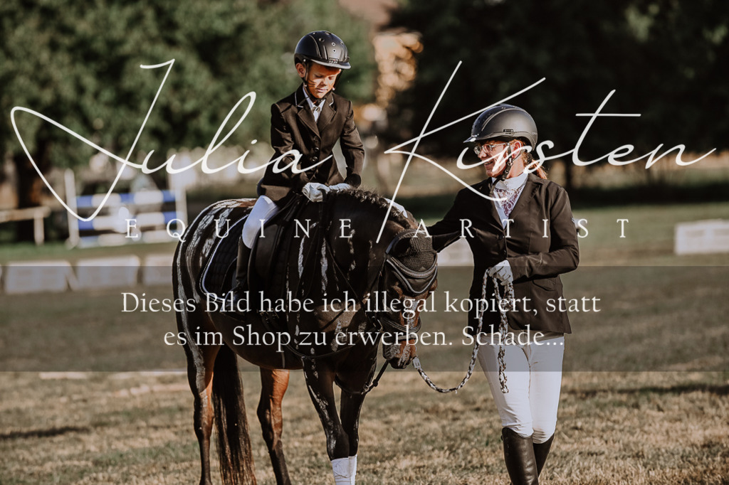 DSC_0227 | Pferde- und Turnierfotografie in Westsachsen. Pferdeportraits, Auftragszeichnungen und intuitive Kunst.