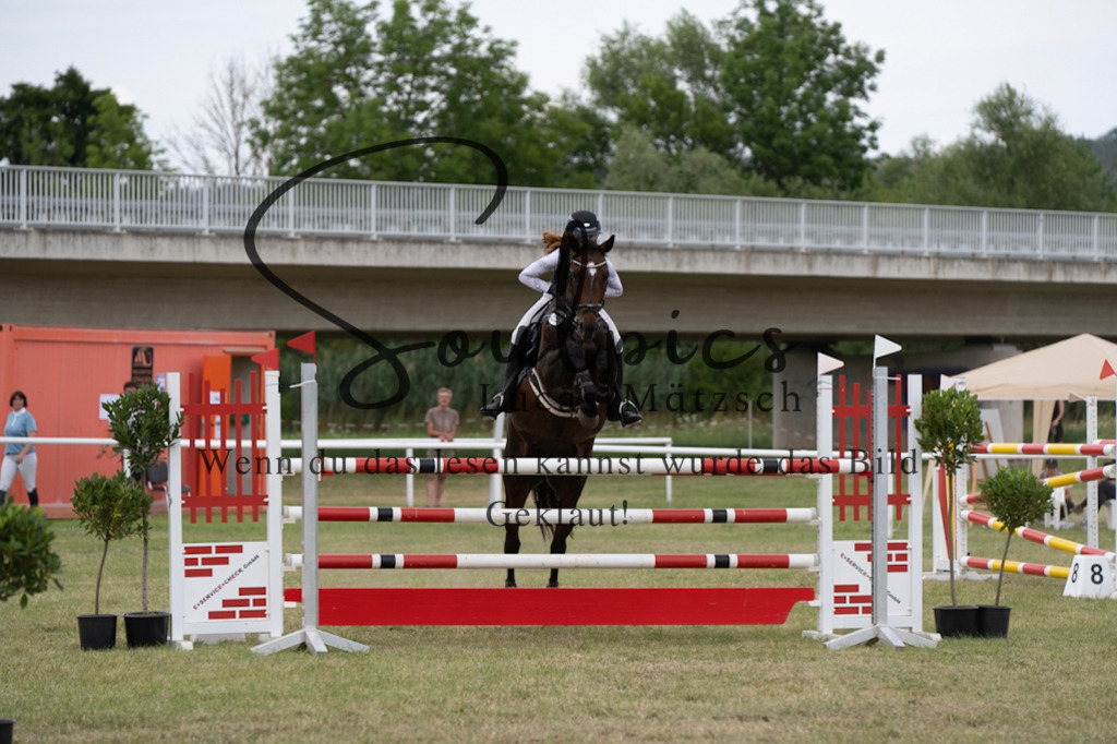 A7V02461 | Pferdefotograf