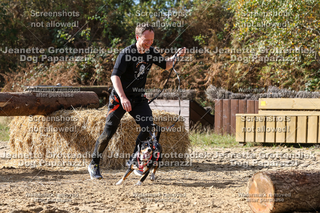 Dog Paparazzi - Strongdog 10-25-5641 | Dog Paparazzi Jeanette Grottendiek Fotografie & Videografie - Realisiert mit Pictrs.com