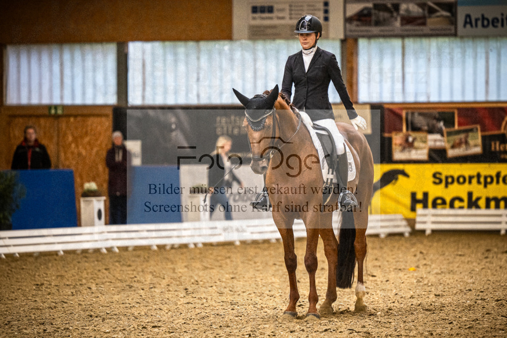 DOS_1086 | Entdecke hochwertige Reitturnierfotos von Foto Oger. Professionell, emotional und authentisch – jetzt Lieblingsmomente im Shop bestellen.Deutschlandweite Turnierfotografie. - Realisiert mit Pictrs.com