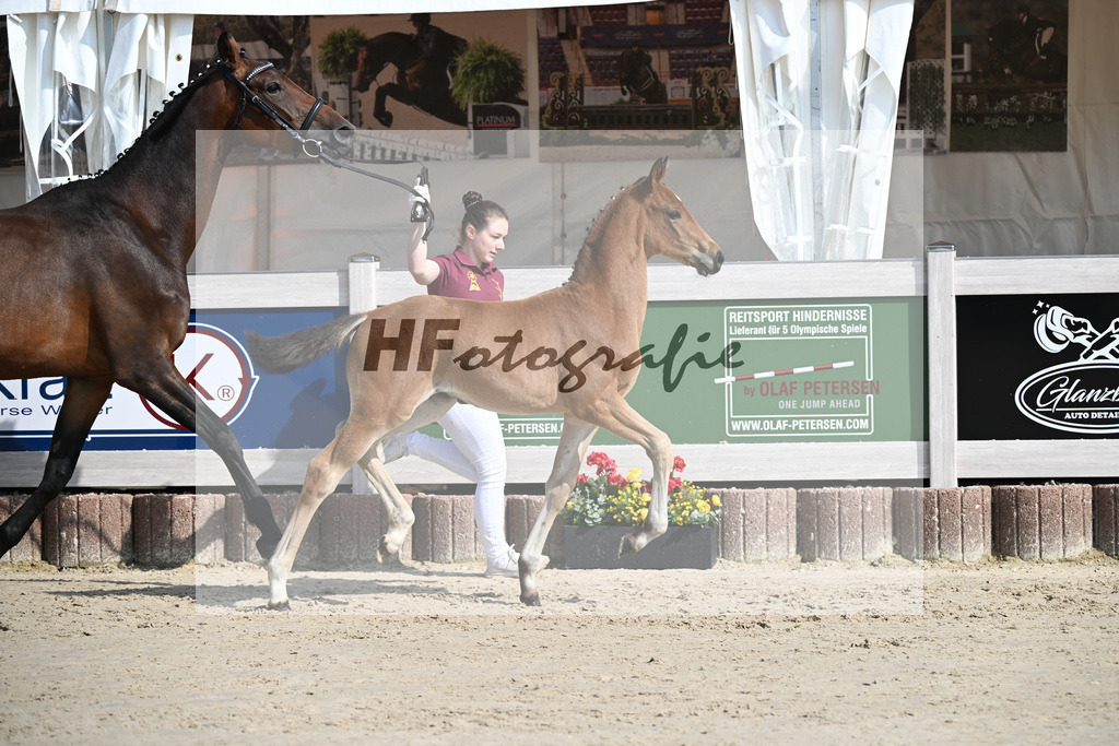 Feliciano x Danone I_SF_Huber_12250108 | hf-fotografie - Realisiert mit Pictrs.com