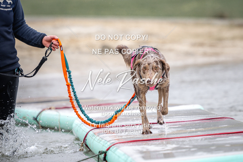 nelerasche_Hulsbeek_Sa1030-1100_57 | nelerasche