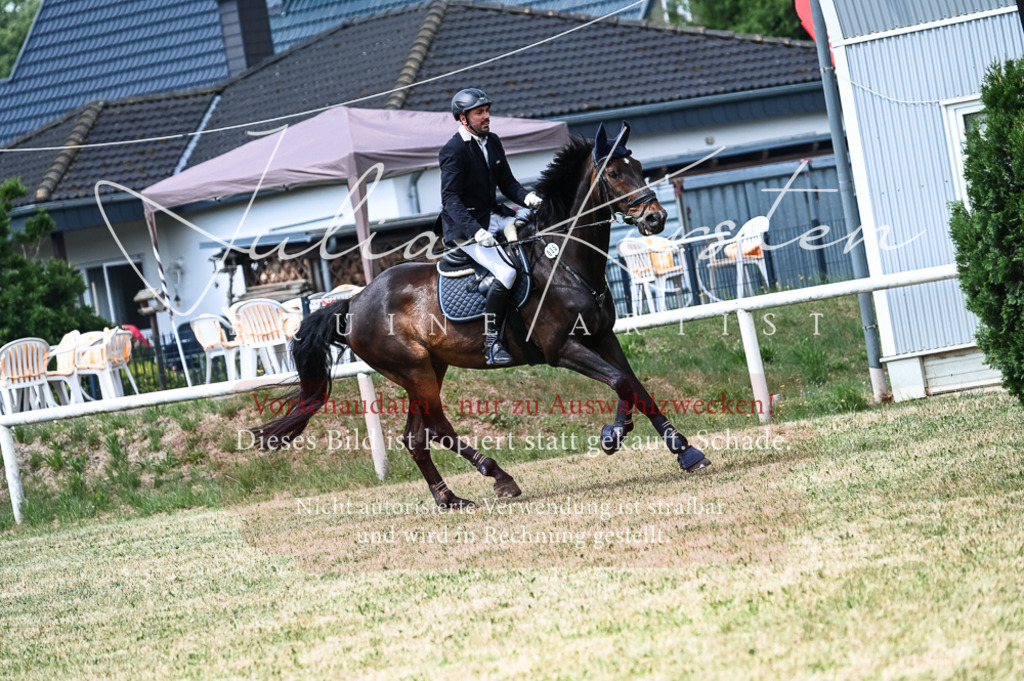 DSC_8908 | Pferde- und Turnierfotografie in Westsachsen. Pferdeportraits, Auftragszeichnungen und intuitive Kunst.