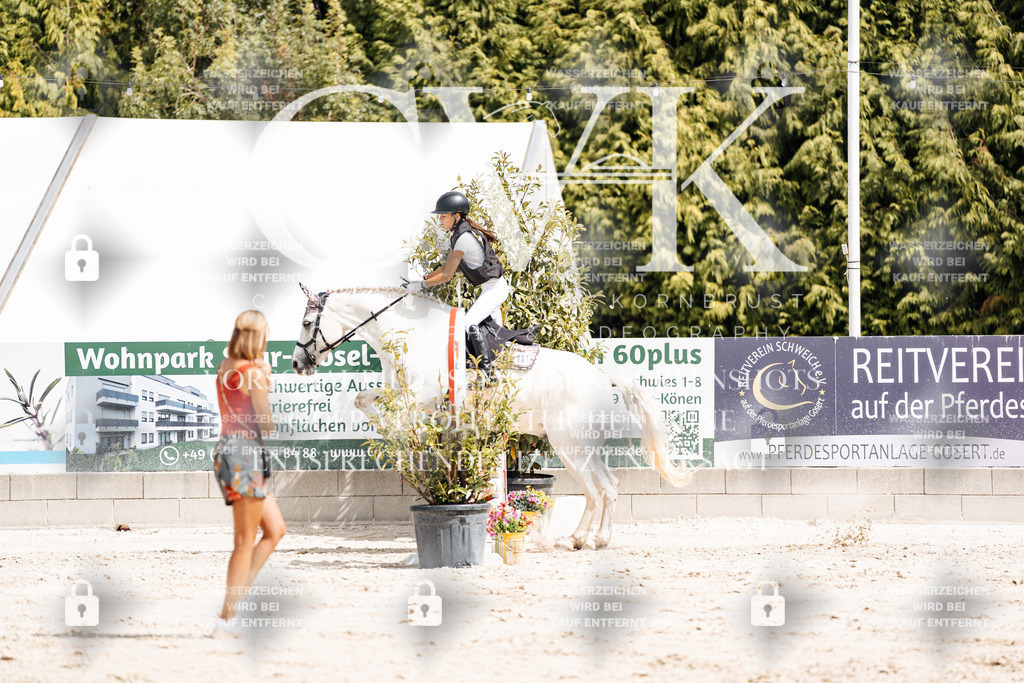 CK906497 | Turnierfotografie Pferdefotografie Trier Rheinland-Pfalz Pferdesport Reitsport Tierfotografie Sportfotografie Pferdevideo Pferdevideografie Equestrianvideography equestrianphotography  - Realisiert mit Pictrs.com