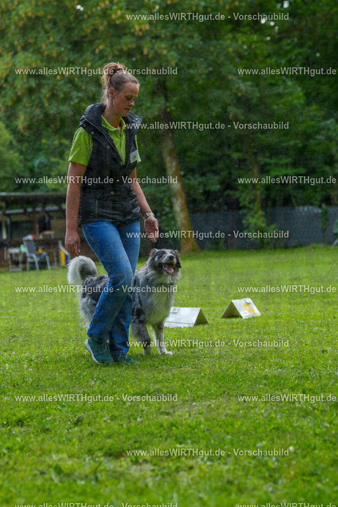 @allesWIRTHgut_Tierfotografie - www.allesWIRTHgut.de - 7R504770 | Professionelle Tierfotografie in Mönchengladbach von Daniel Wirth (allesWIRTHgut). Liebevolle & natürliche Bilder von Hunden & Katzen für unvergessliche Erinnerungen.
