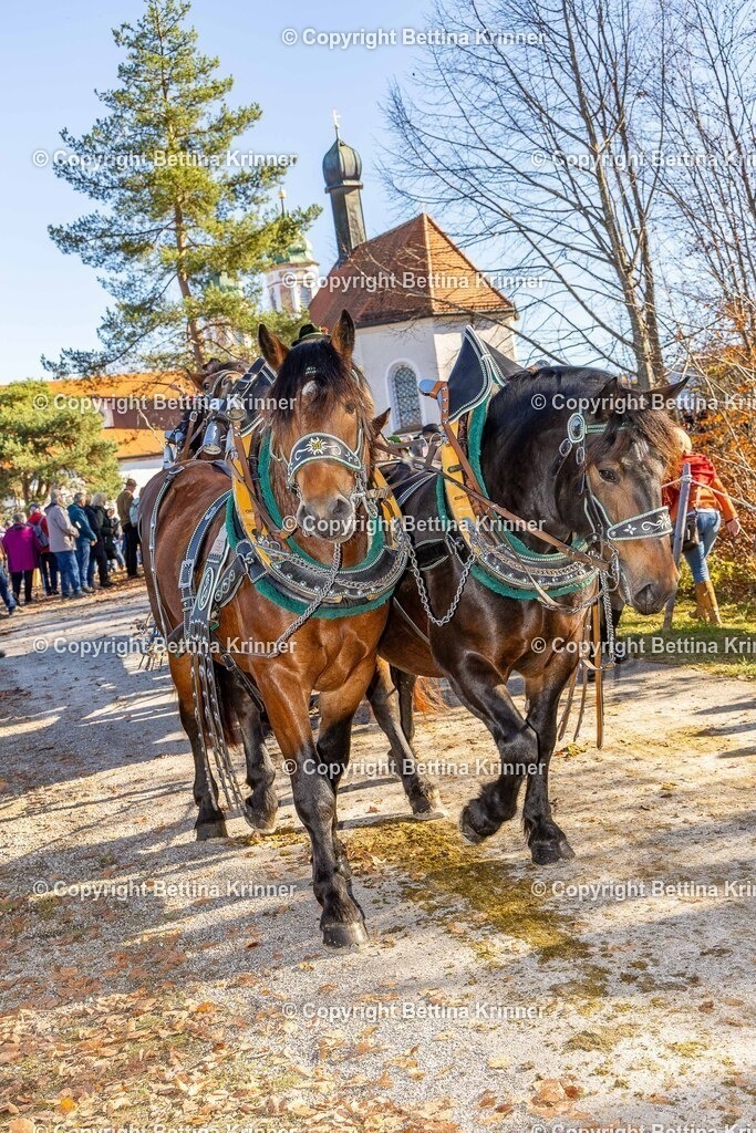 LBT25-1395 | foto-bettina-krinner - Realisiert mit Pictrs.com
