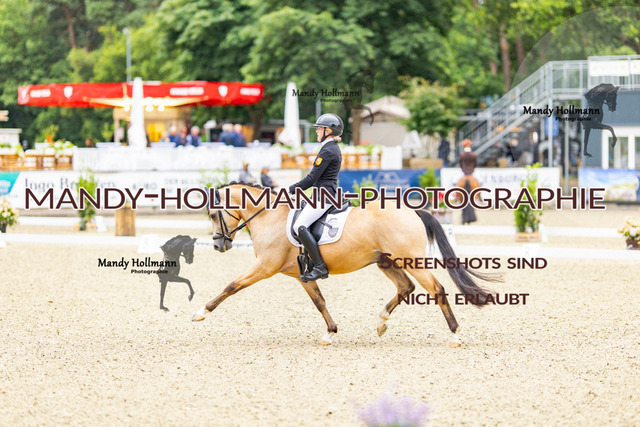 4.7 Höven L (295 von 543) | mandyhollmannphotographie