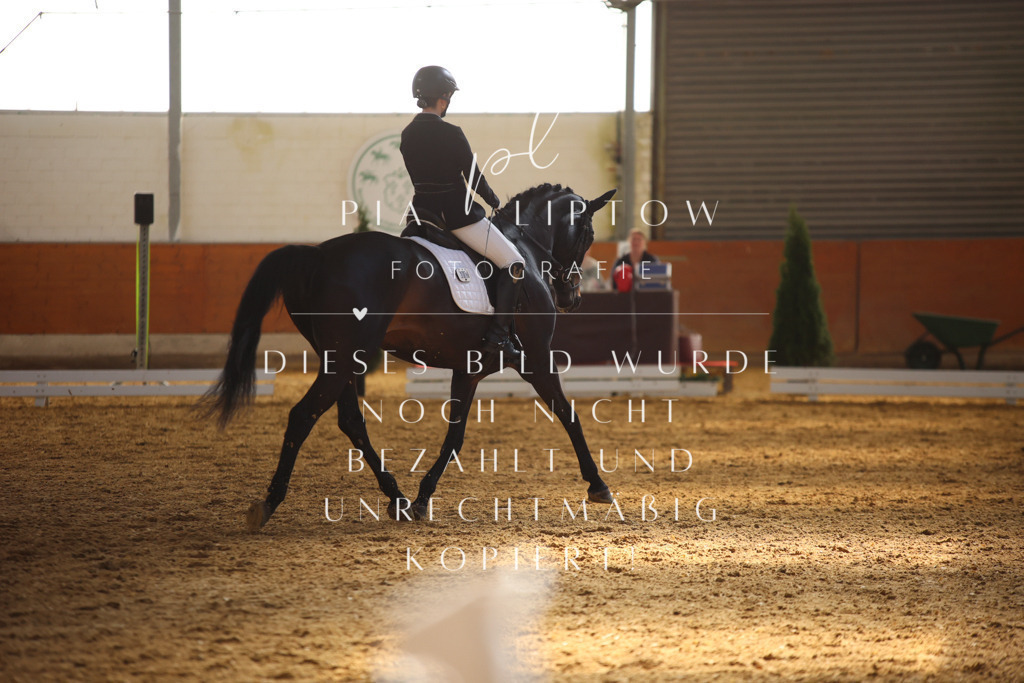 IMGT7051 | pl-fotografie