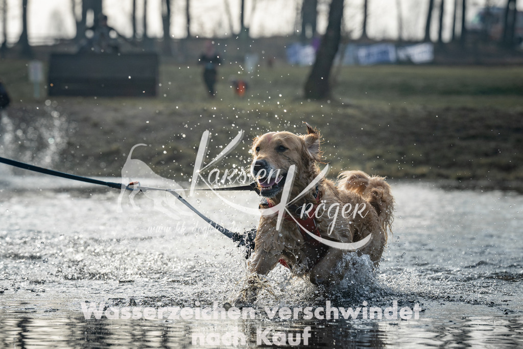 0842_ZZ97959 | kk-dogfotos