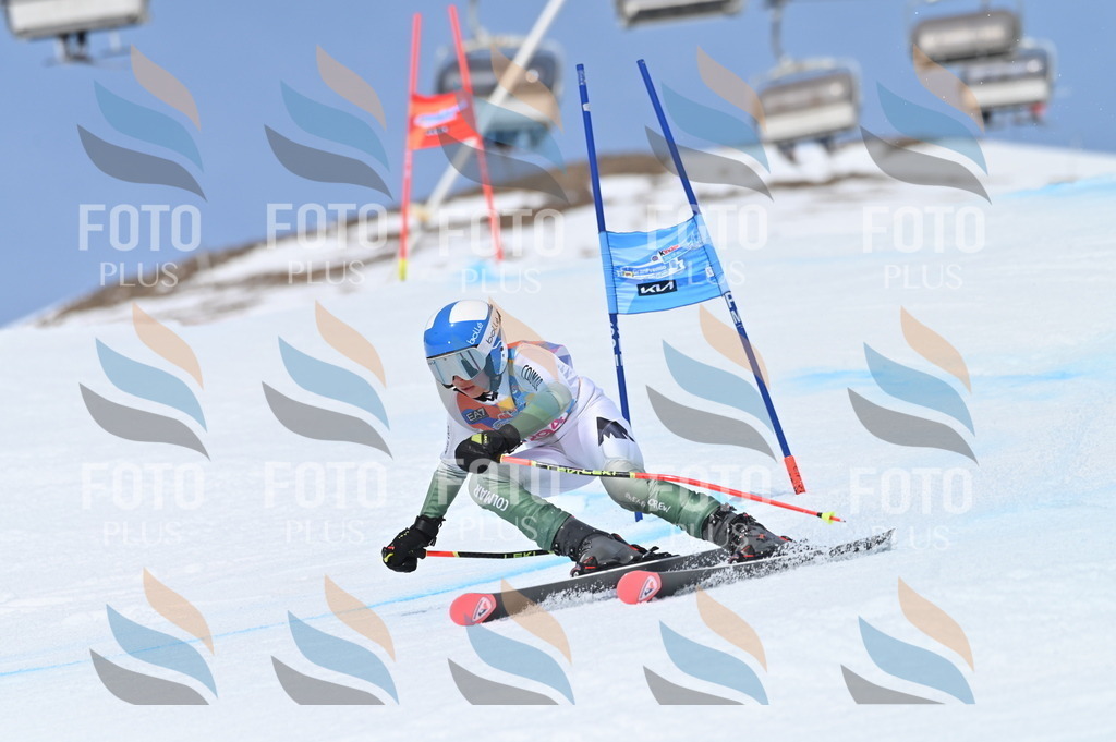 BGV_2683 | holidayphoto