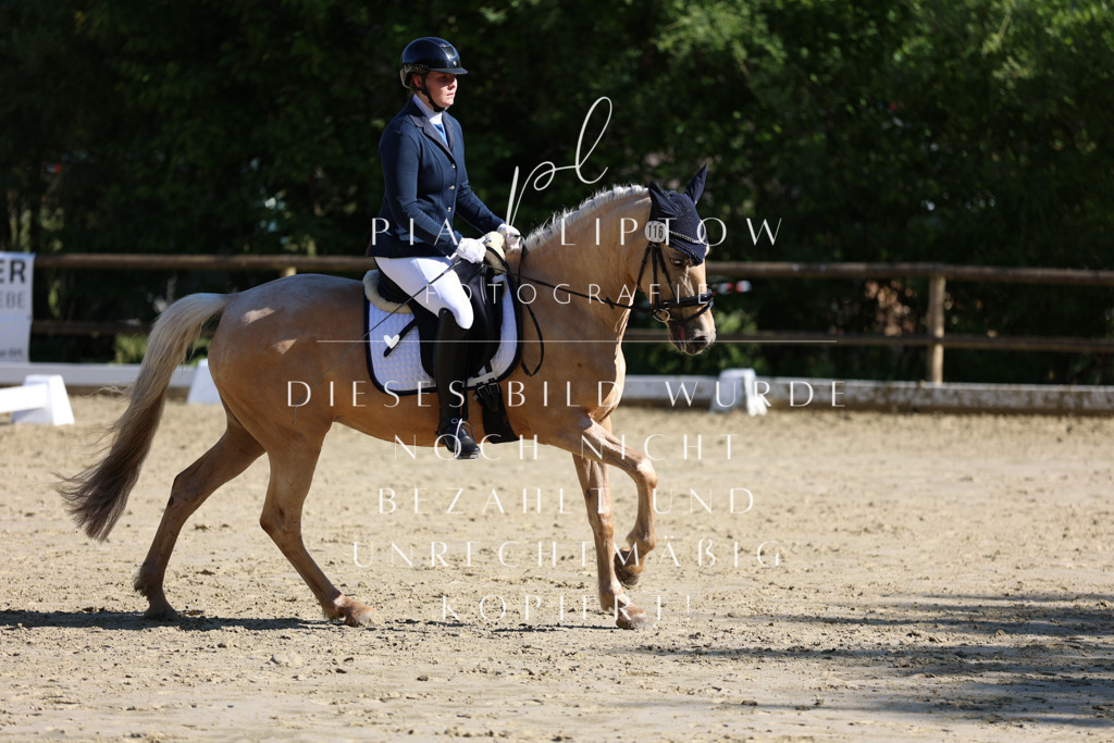 IMGT9750 | pl-fotografie