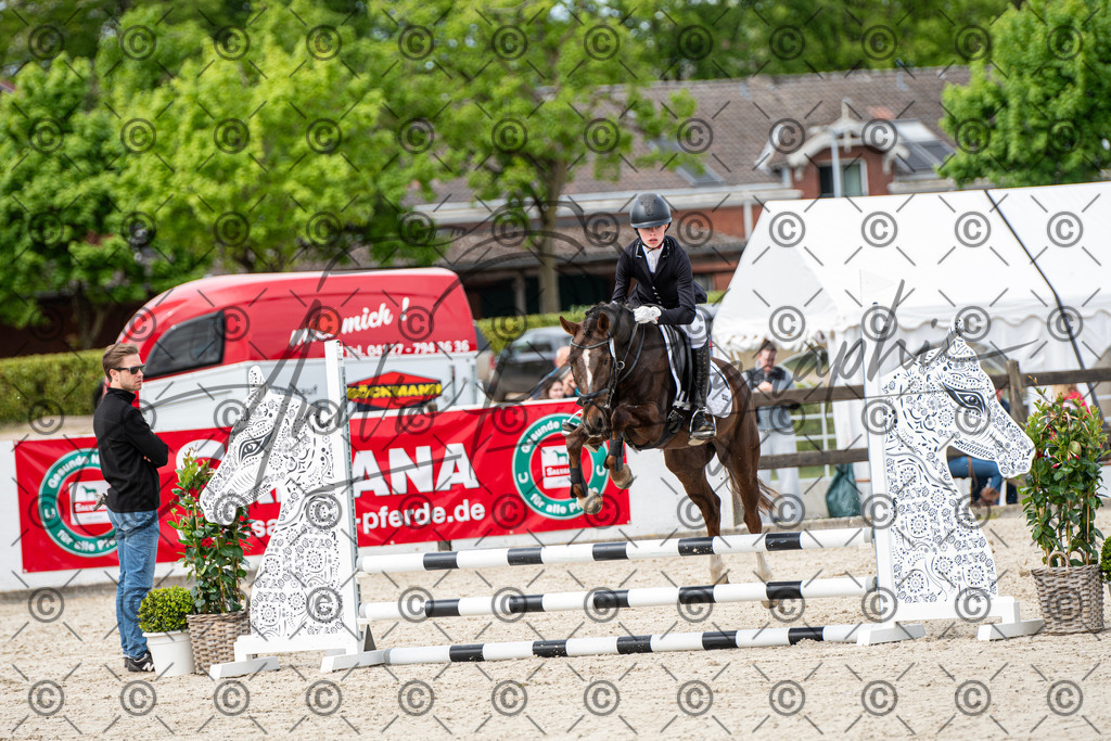 KPT_6027 | andre_photographic