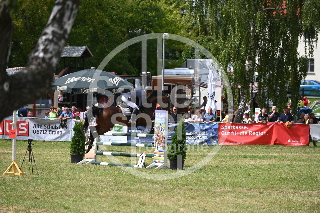 DSC_7044 | sattelsport - Realisiert mit Pictrs.com