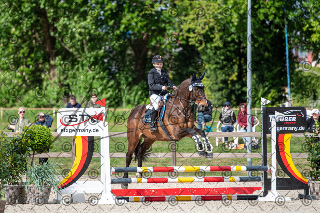 KPT_6527 | andre_photographic