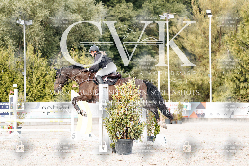 CK903695 | Turnierfotografie Pferdefotografie Trier Rheinland-Pfalz Pferdesport Reitsport Tierfotografie Sportfotografie Pferdevideo Pferdevideografie Equestrianvideography equestrianphotography  - Realisiert mit Pictrs.com