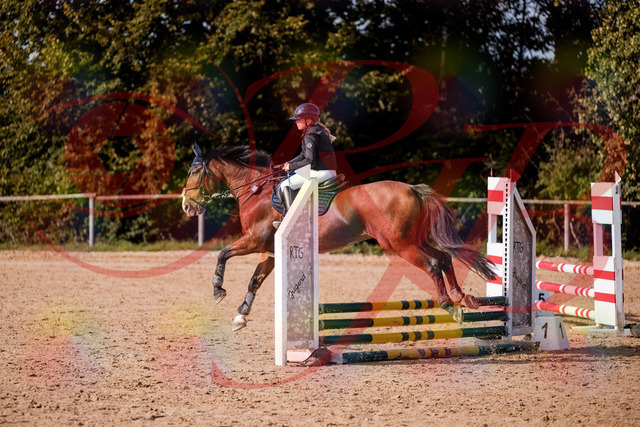 2026_10_03_Siefer-Hof_154625_Z81_64930559 | Professionelle Reitsport-, Turnier- und Eventfotografie von Robert Broda. Galerien mit ausgewählten und bearbeiteten Bildern direkt online ansehen und bestellen.