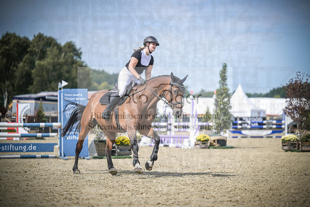 DOS_3987 | Entdecke hochwertige Reitturnierfotos von Foto Oger. Professionell, emotional und authentisch – jetzt Lieblingsmomente im Shop bestellen.Deutschlandweite Turnierfotografie. - Realisiert mit Pictrs.com