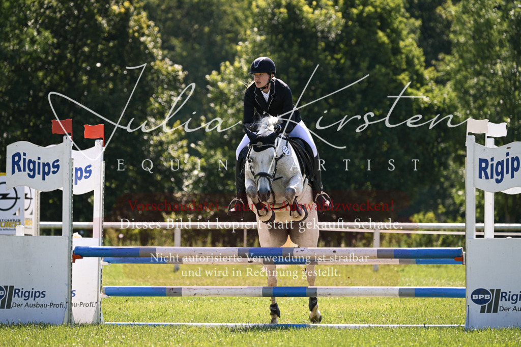 DSC_8730 | Pferde- und Turnierfotografie in Westsachsen. Pferdeportraits, Auftragszeichnungen und intuitive Kunst.